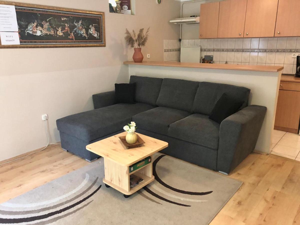 Tulipan Apartman Eger Buitenkant foto